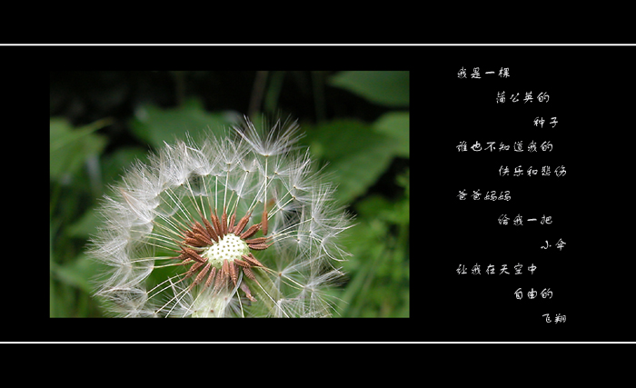 [原创]小品 ------