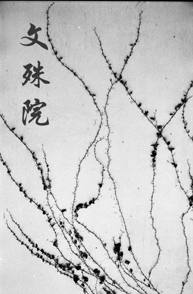 [原创]黑白映画之成都文殊院