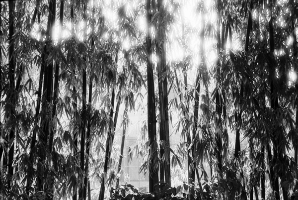 [原创]黑白映画之成都文殊院