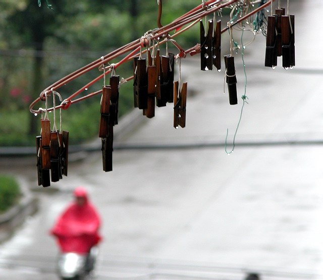 [活动邀请]  让我们相约拍荷花去