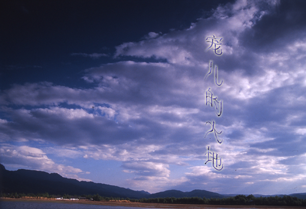 [原创]宠儿的大地（云南拉市海）