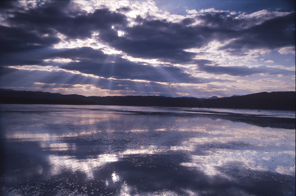 [原创]宠儿的大地（云南拉市海）