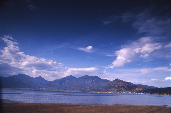 [原创]宠儿的大地（云南拉市海）