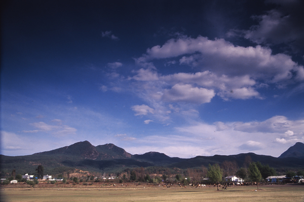 [原创]宠儿的大地（云南拉市海）