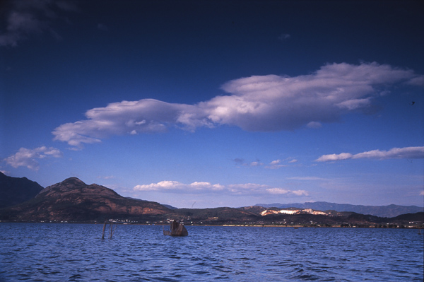 [原创]宠儿的大地（云南拉市海）