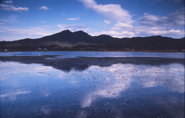 [原创]宠儿的大地（云南拉市海）
