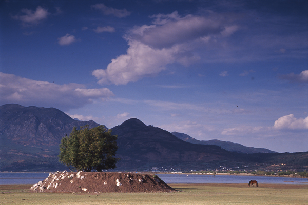[原创]宠儿的大地（云南拉市海）