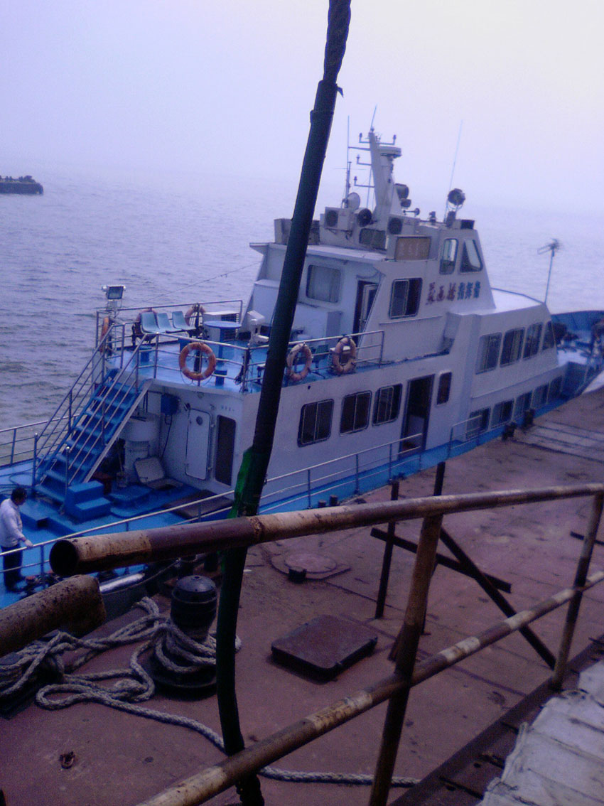 迟来的照片 苏通大桥近景[申请加精]