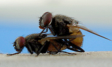 【一觉醒来，我居然看到办公室里一对男女在做苟且之事】少儿不宜！