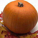 【童年照系列之九】满腹晴纶的他，给大家带来过很多欢声笑语。