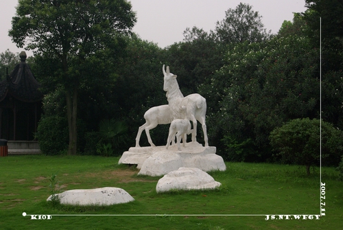 今天的文峰公园 试机K10D