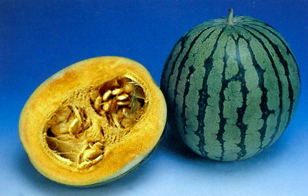 发个歌戏戏～～～不丑类～～～鼓掌撒～～