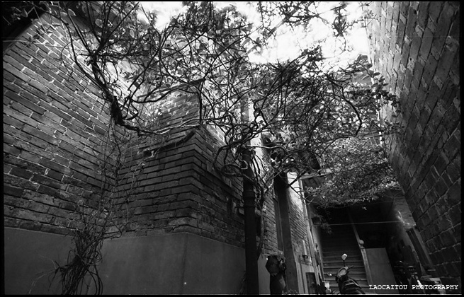 ~~~~~ 酷暑,无题的一些记录 ~~~~~