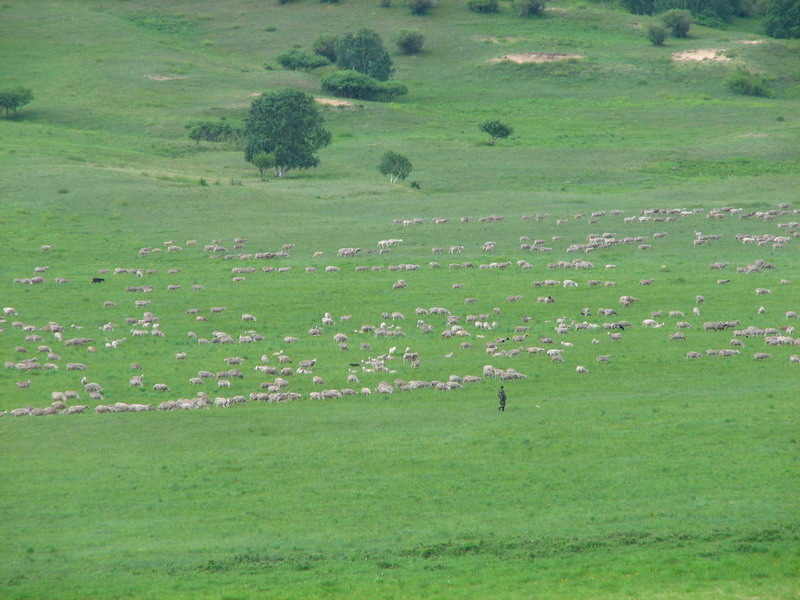 我想扬鞭策马，内蒙是个好地方．