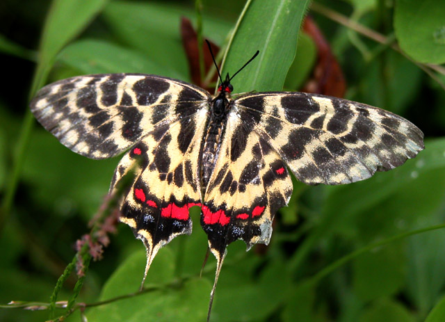 [原创]~~~---微距摄影---亲密接触~~~