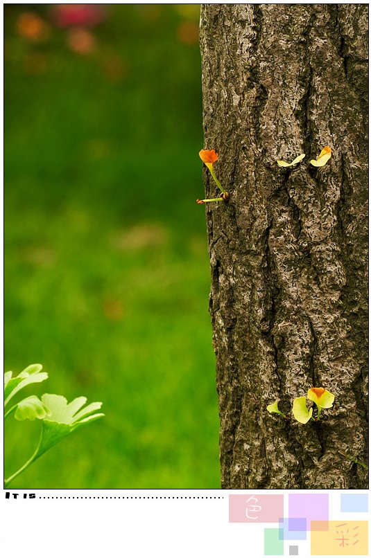 [原创]生态微距--色彩--