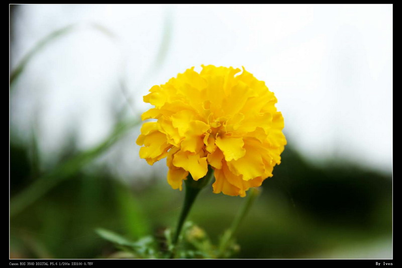 [原创]滨江印象[组片]
