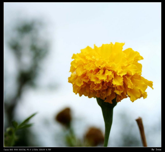 [原创]滨江印象[组片]