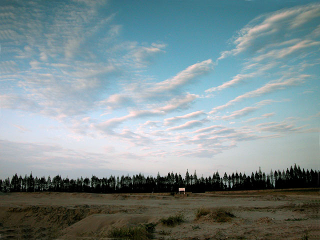 [原创]滨江印象[组片]