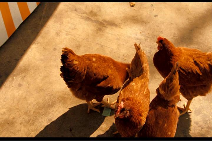 《憨豆假期》拉片室