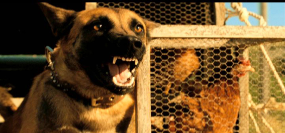 《憨豆假期》拉片室