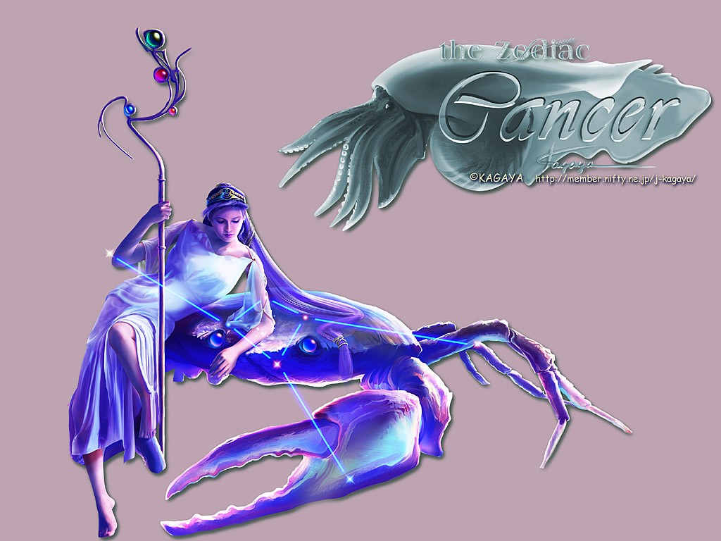 经典十二星座图壁纸