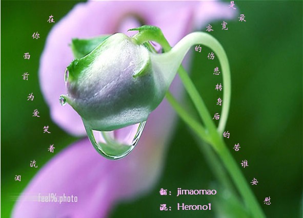 老人第四贴：《为爱笑着流泪》录完想哭。