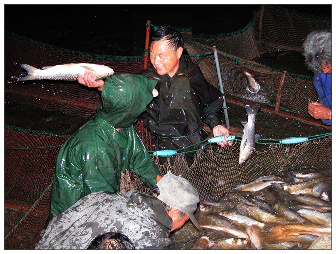 我的朋友潘明才