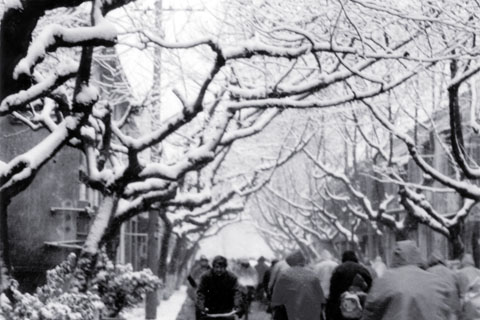 小时的那些回忆[原创]