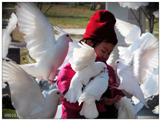 《奥运年第一天》