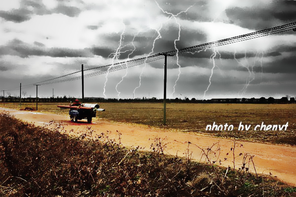 [原创]天苍苍,野茫茫