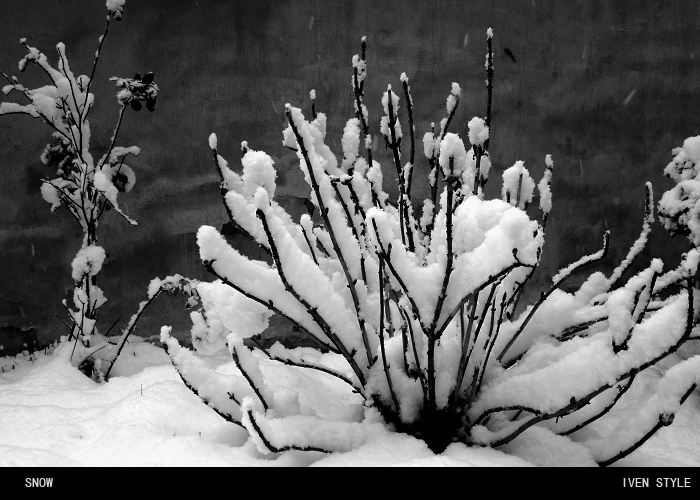 [原创][Iven Style]SNOW