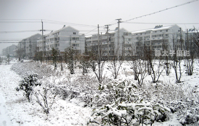 [贴图]下雪了。。。等会去狼山拍雪景啦！