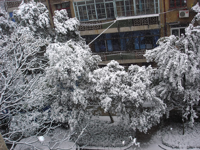 你那里下雪了么???