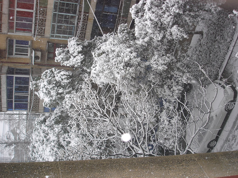 你那里下雪了么???