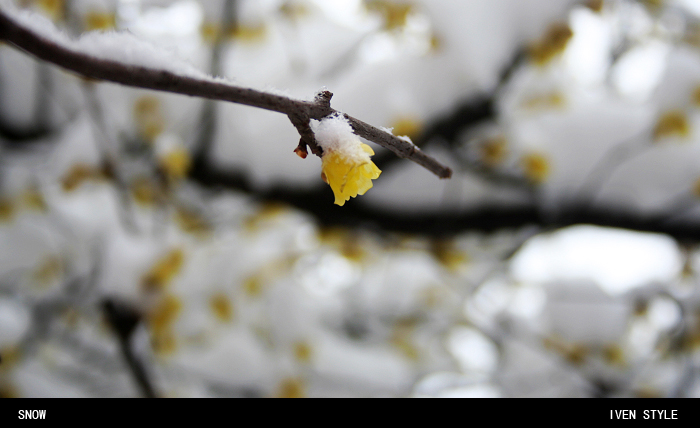 [原创][Iven Style]SNOW[第2集]