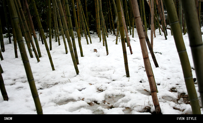 [原创][Iven Style]SNOW[第2集]