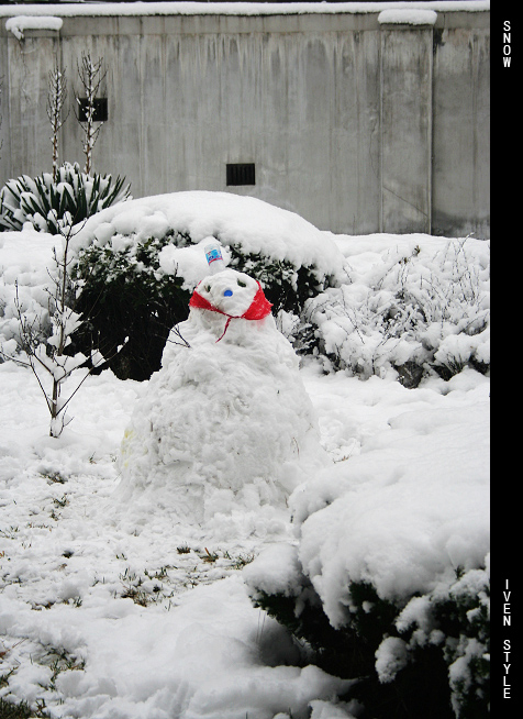 雪孩子集结号－各路雪孩子大PK，欢迎各位“家长”积极送娃参选~