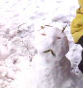 不能改变天气，只能改变心情