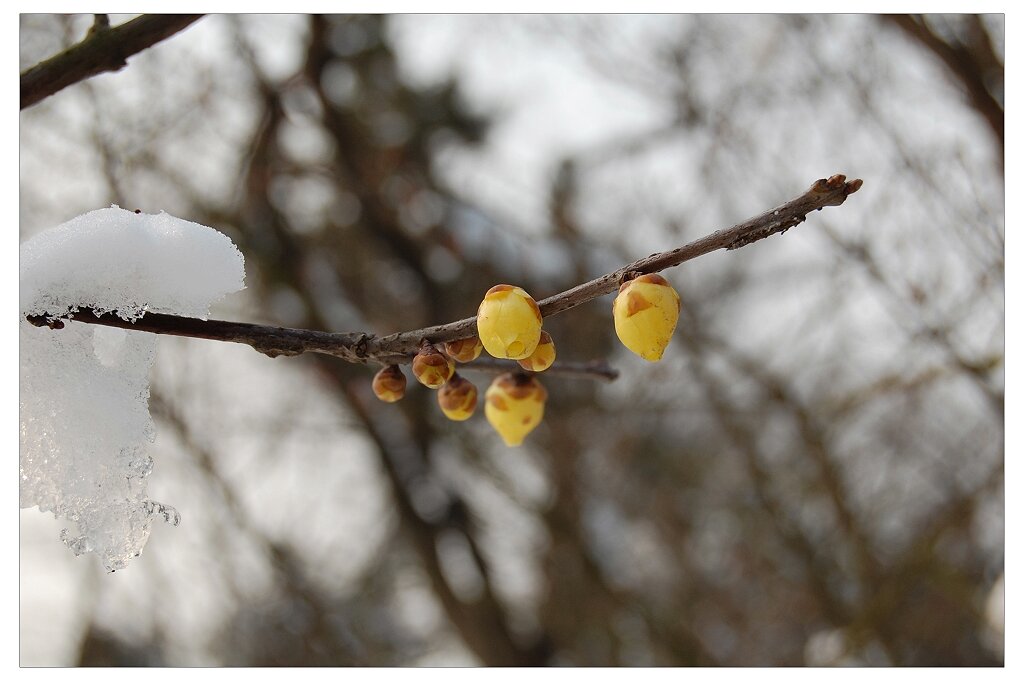 [原创]初学者眼中的狼山  By_D40_18-55mm