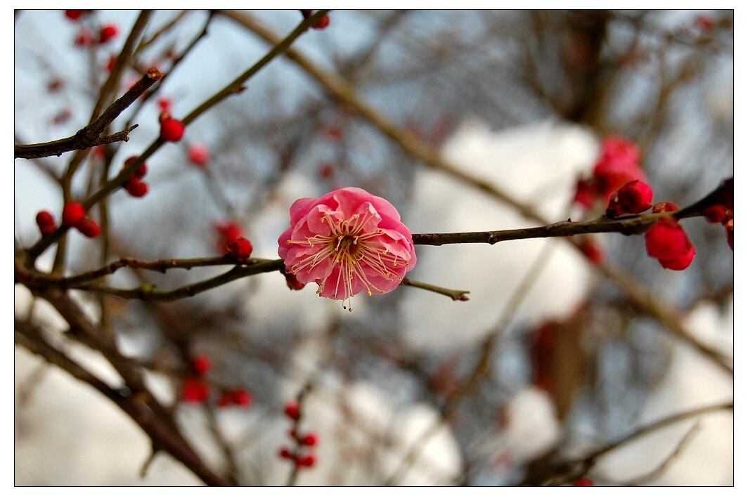 [原创]初学者眼中的狼山  By_D40_18-55mm