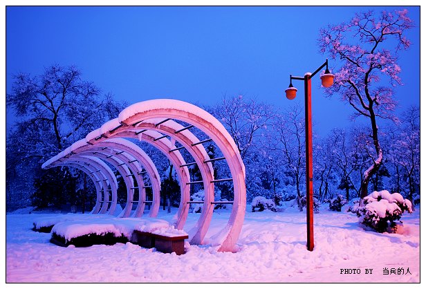 *********通城大雪后，也来凑个趣****************