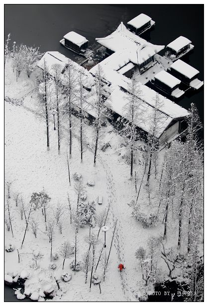 *********通城大雪后，也来凑个趣****************