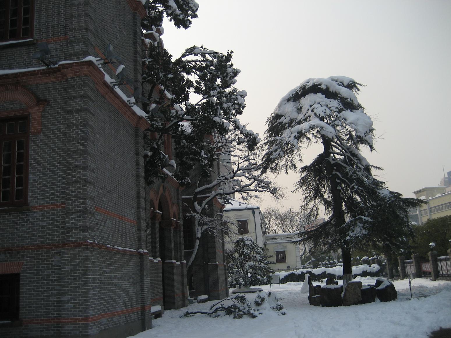 猜猜我在市区哪儿拍的照片^_^