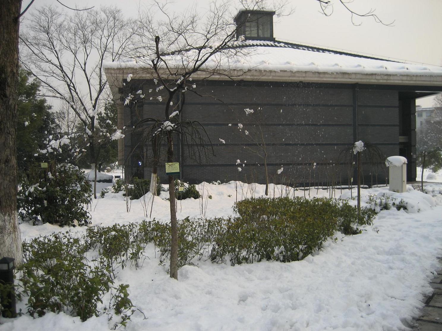 猜猜我在市区哪儿拍的照片^_^