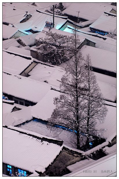 *********通城大雪后，也来凑个趣****************