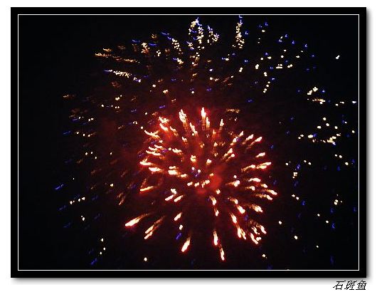 【馋嘴石斑鱼的幸福生活】