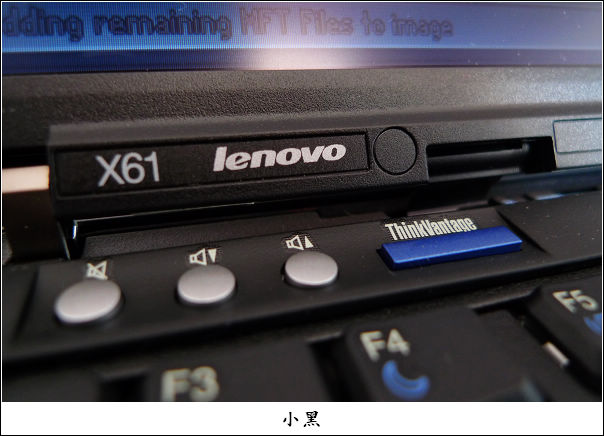 【馋嘴石斑鱼的幸福生活】