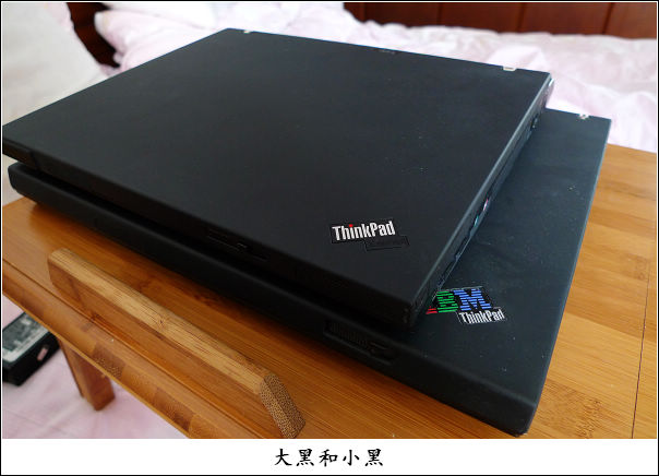 【馋嘴石斑鱼的幸福生活】