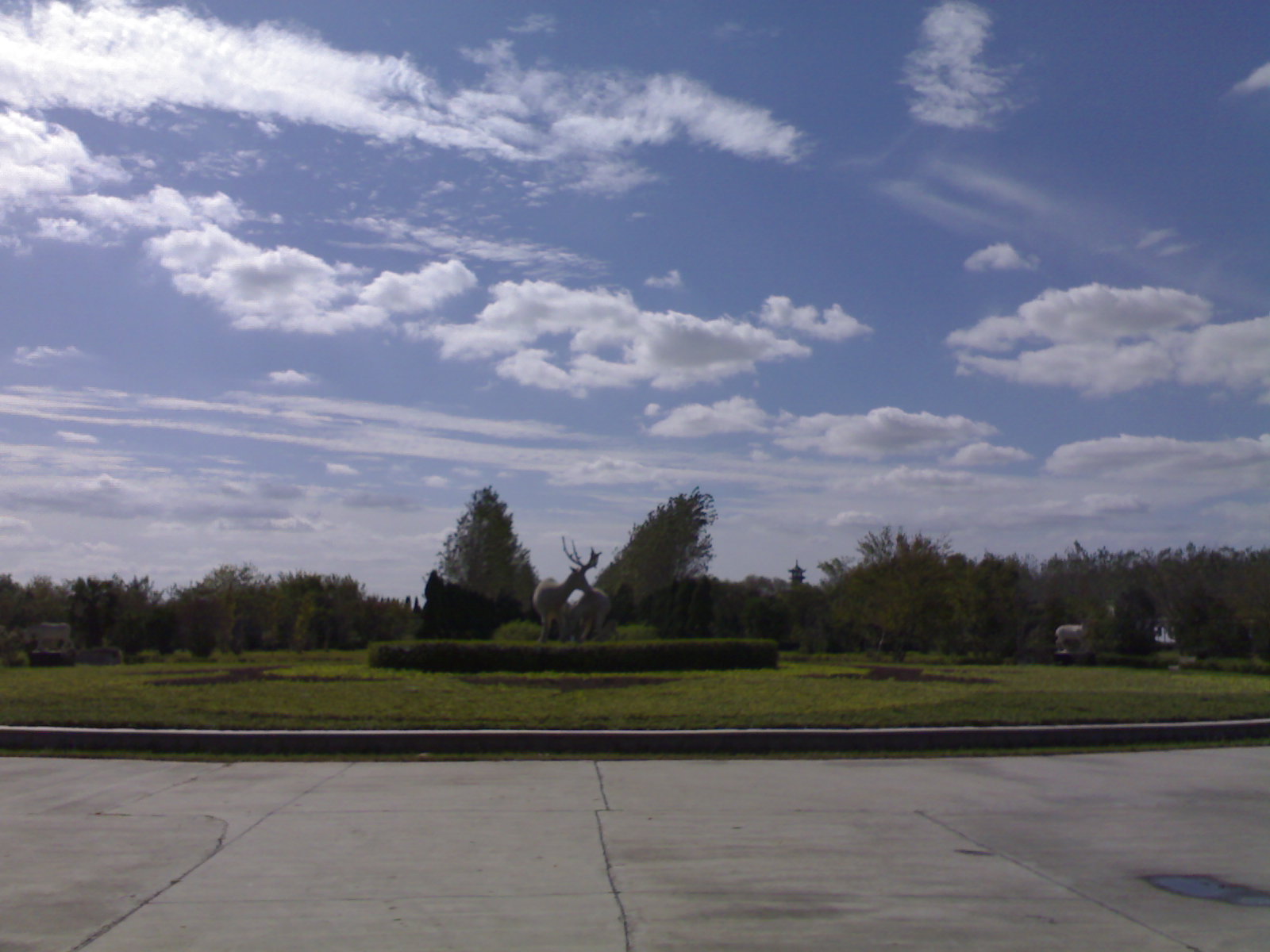 刚从盐城回来！